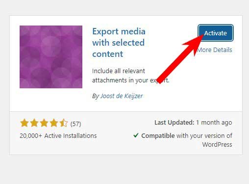 Export blog articles: How to activate plugin